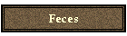 Feces