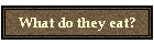 What do they eat?